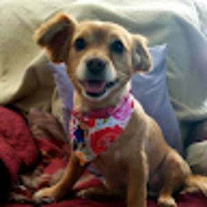 Meet your Posher, Sheron